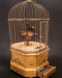 Musical Bird Cage